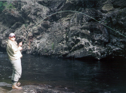from W. W. Doak