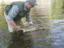Filename=Evan_Gilks.JPG
Filesize=75KiB
Dimensions=640x480
Date added=Jun 17, 2011 Evan_Gilks.JPG