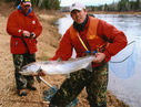 Filename=Hallihan-large.jpg
Filesize=113KiB
Dimensions=761x580
Date added=May 31, 2011 Hallihan-large.jpg