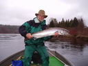 Filename=Kleeman-08-2-large.jpg
Filesize=89KiB
Dimensions=800x600
Date added=May 31, 2011 Kleeman-08-2-large.jpg