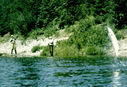 Filename=Les_Warren-B.JPG
Filesize=173KiB
Dimensions=874x600
Date added=May 31, 2011 Les_Warren-B.JPG