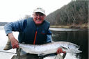 Filename=Salmon-RG-2.JPG
Filesize=63KiB
Dimensions=700x465
Date added=May 31, 2011 Salmon-RG-2.JPG