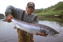 Filename=Salmon01-A-June04.JPG
Filesize=102KiB
Dimensions=900x595
Date added=May 31, 2011 Salmon01-A-June04.JPG
