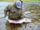 Filename=Schlink-2.JPG
Filesize=666KiB
Dimensions=2048x1536
Date added=May 31, 2011 Schlink-2.JPG