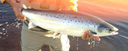 Filename=photo2.jpg
Filesize=71KiB
Dimensions=776x310
Date added=Aug 13, 2012 photo2.jpg
