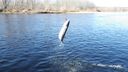 Filename=River_Watch_2012_101.jpg
Filesize=416KiB
Dimensions=2048x1152
Date added=May 07, 2012 River_Watch_2012_101.jpg
