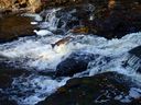 Filename=Porter_Brook_1.JPG
Filesize=415KiB
Dimensions=1500x1125
Date added=Jun 04, 2011 Porter_Brook_1.JPG