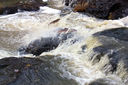 Filename=Porter_Brook_2.JPG
Filesize=424KiB
Dimensions=1536x1024
Date added=Jun 04, 2011 Porter_Brook_2.JPG