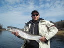 Filename=DSC01828.JPG
Filesize=85KiB
Dimensions=800x600
Date added=Apr 19, 2012 DSC01828.JPG