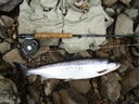 Filename=Fishing_2011_007.jpg
Filesize=74KiB
Dimensions=640x480
Date added=Jun 09, 2011 Fishing_2011_007.jpg