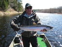 Filename=Joe_Stewart_2011.JPG
Filesize=616KiB
Dimensions=2048x1536
Date added=Sep 15, 2011 Joe_Stewart_2011.JPG