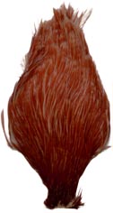 Chinese<br>Cock Neck from W. W. Doak