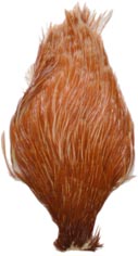 Chinese<br>Cock Neck from W. W. Doak
