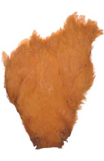 Salmon Fly<br>Hen Neck from W. W. Doak