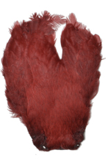 Salmon Fly<br>Hen Neck from W. W. Doak