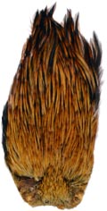 Indian Cock Neck from W. W. Doak