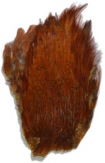 Indian Cock Neck from W. W. Doak