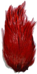Große gefärbt indischen Cock Neck Umhänge ausgezeichnete Qualität Farben von A.M flytyi 