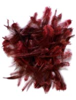 Loose<br>Cock Neck Hackle from W. W. Doak