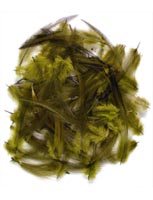 Loose<br>Cock Neck Hackle from W. W. Doak