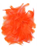 Loose<br>Cock Neck Hackle from W. W. Doak