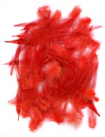 Loose<br>Cock Neck Hackle from W. W. Doak