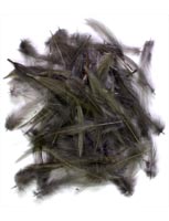 Loose<br>Cock Neck Hackle from W. W. Doak