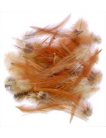 Loose<br>Cock Neck Hackle from W. W. Doak