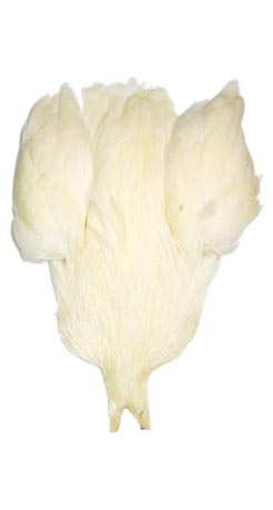 Metz Hen Neck<br>Grade 1 - Cream from W. W. Doak