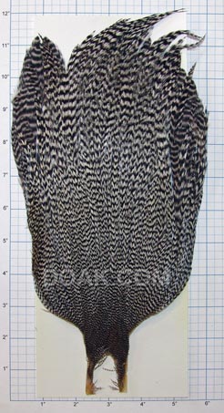 Metz Cock Neck<br>Grade 3 - Grizzly from W. W. Doak