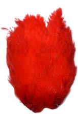 Prime Hen Neck from W. W. Doak