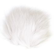 Arctic Fox<br>White from W. W. Doak