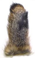 Grey Fox Tail<br>  from W. W. Doak