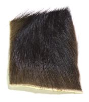 Moose Hair Short from W. W. Doak