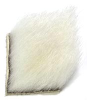Polar Bear - Short<br>White from W. W. Doak