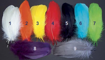 Dyed Goose Shoulders from W. W. Doak