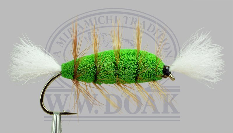 Green Bomber - Brown Hackle - White Tails