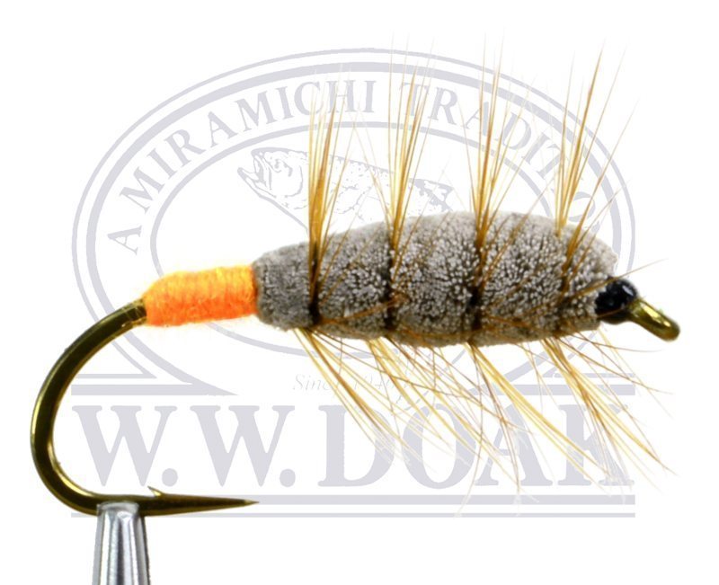 Brown Bug - Orange Butt - Single #4