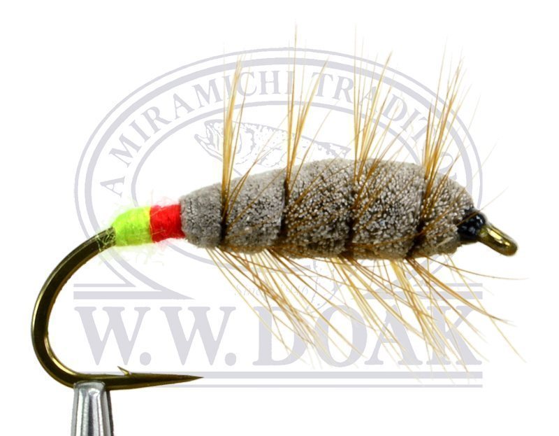 Brown Bug - Green / Red Butt - Single