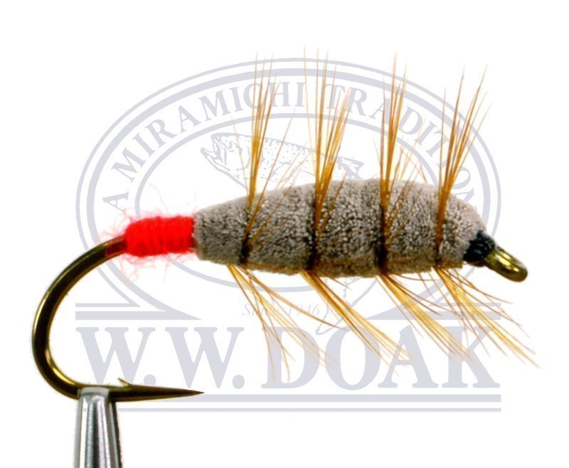 Brown Bug - Red Butt - Single