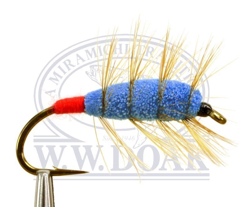 Blue Buck Bug - Red Butt - Single