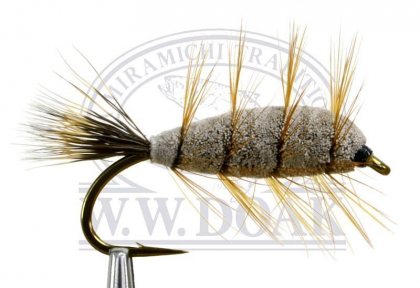 Brown Bug<br>Brown Tail