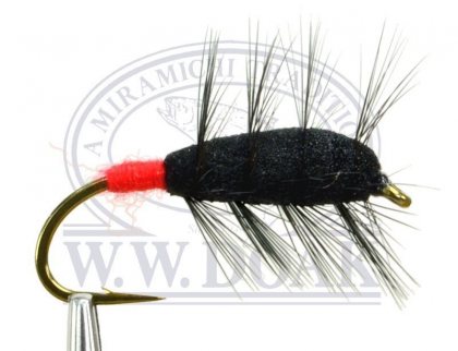 Black Bug<br>Red Butt