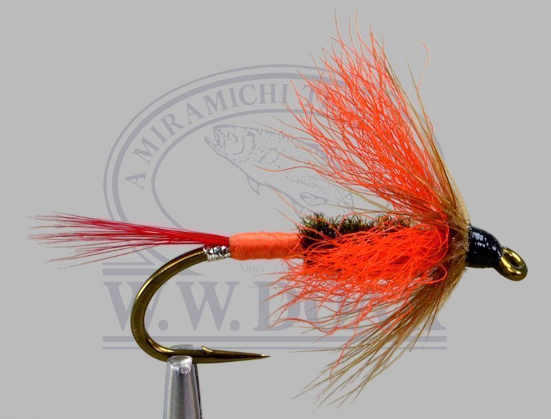 Butterfly - Orange Wing - Orange Butt - Single