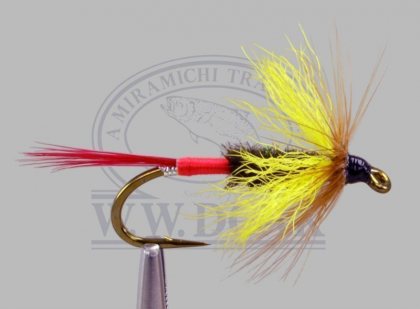 Yellow Wing<br>Butterfly