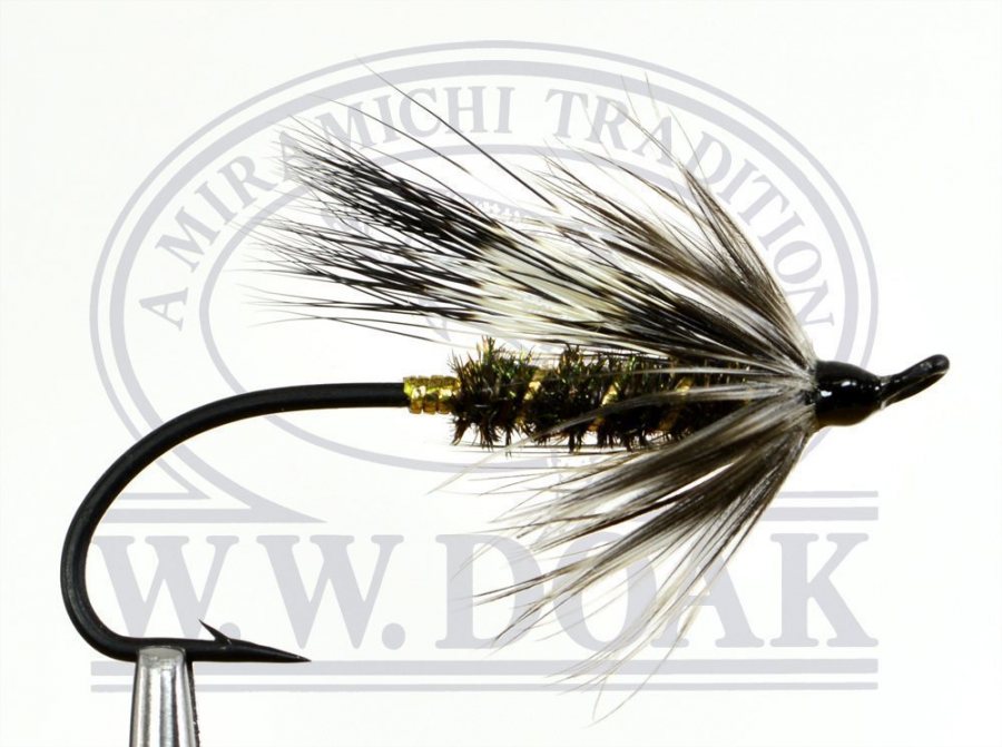Black Rat Low Water