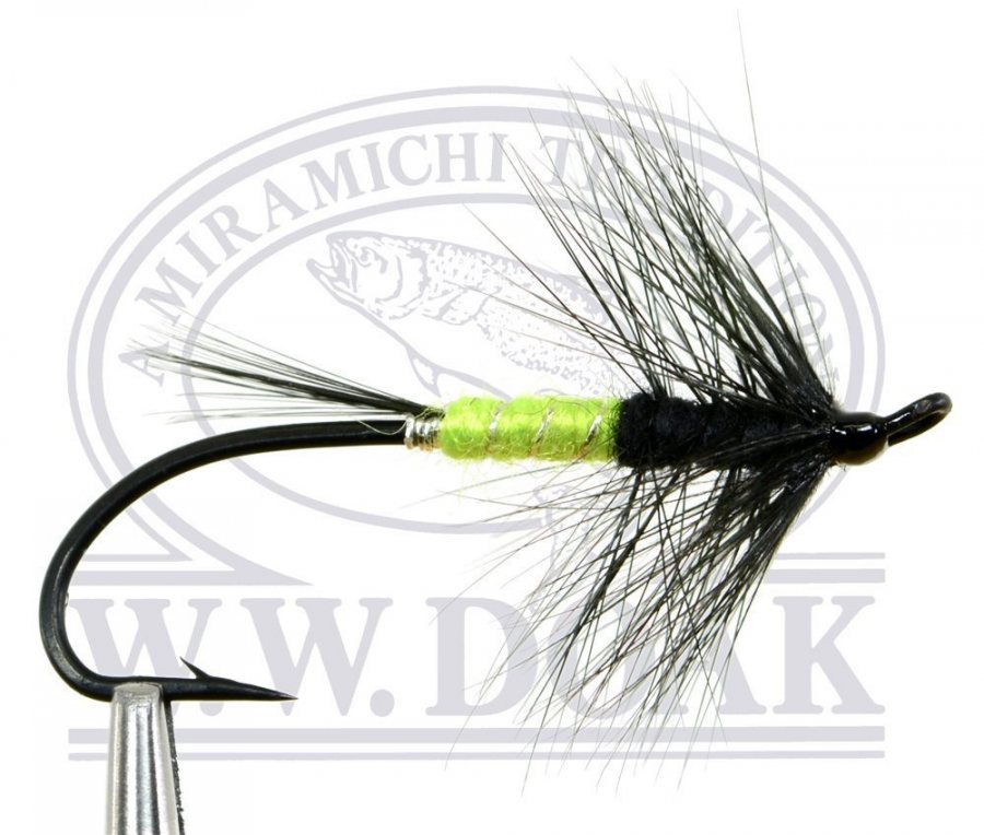 Shady Lady Low Water
