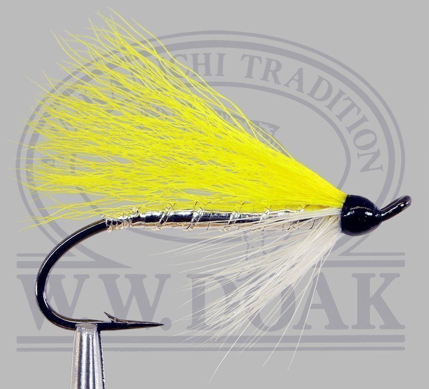 Yellow Calftail - Single