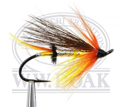 Orange Blossom