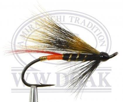 Squirrel Tail Orange Bt.